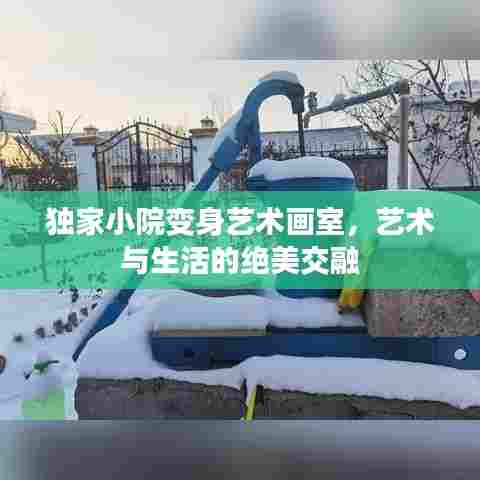 独家小院变身艺术画室,艺术与生活的绝美交融