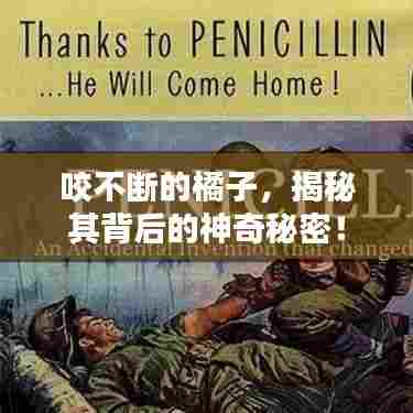 咬不断的橘子,揭秘其背后的神奇秘密!