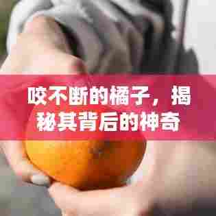 咬不断的橘子,揭秘其背后的神奇秘密!