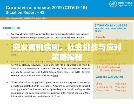 突发两例病例，社会挑战与应对策略揭秘