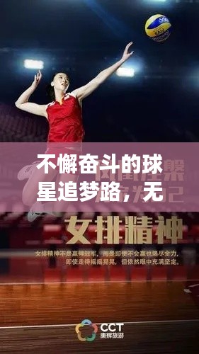 不懈奋斗的球星追梦路,无尽奋斗铸就辉煌