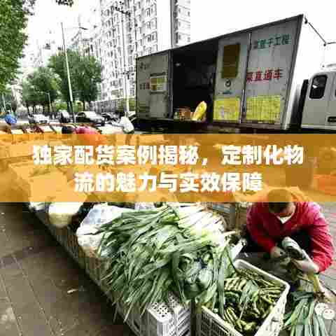 独家配货案例揭秘,定制化物流的魅力与实效保障