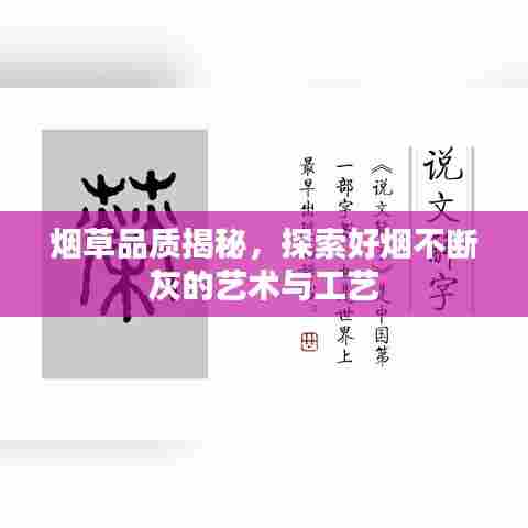 烟草品质揭秘,探索好烟不断灰的艺术与工艺