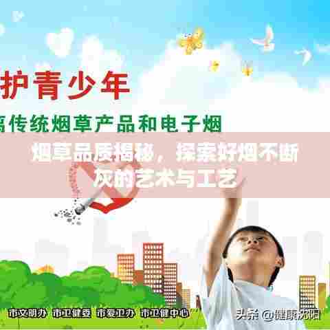 烟草品质揭秘,探索好烟不断灰的艺术与工艺