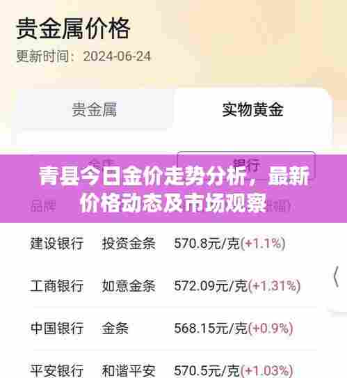 青县今日金价走势分析,最新价格动态及市场观察