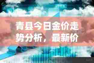 青县今日金价走势分析,最新价格动态及市场观察
