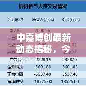 中嘉博创最新动态揭秘,今日消息一网打尽