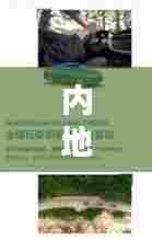 内地飞往洛杉矶必备攻略，最新指南助你轻松出行！