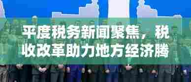 平度税务新闻聚焦,税收改革助力地方经济腾飞