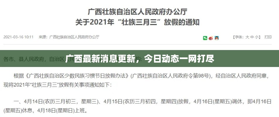 广西最新消息更新，今日动态一网打尽