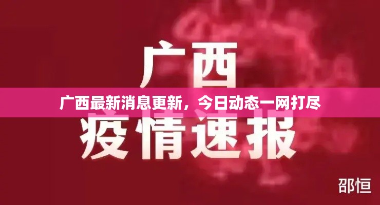广西最新消息更新,今日动态一网打尽