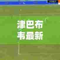 津巴布韦最新动态速递