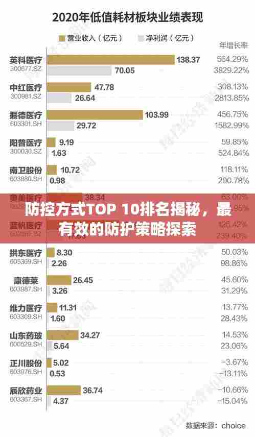防控方式TOP 10排名揭秘,最有效的防护策略探索