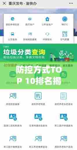 防控方式TOP 10排名揭秘,最有效的防护策略探索