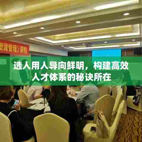 选人用人导向鲜明，构建高效人才体系的秘诀所在
