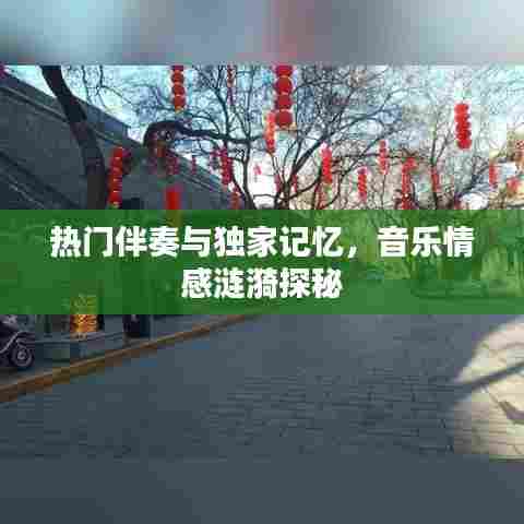 热门伴奏与独家记忆，音乐情感涟漪探秘