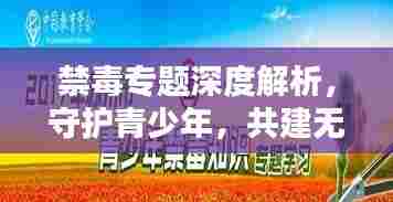 禁毒专题深度解析,守护青少年,共建无毒社会