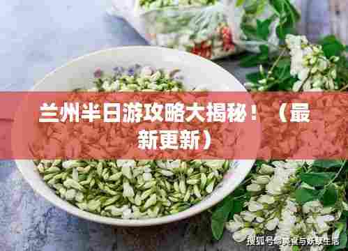 兰州半日游攻略大揭秘!(最新更新)