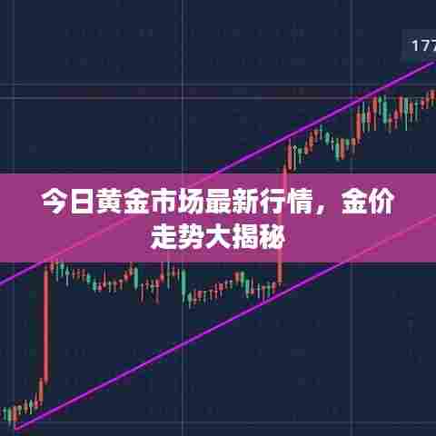 今日黄金市场最新行情，金价走势大揭秘