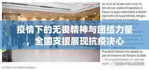 疫情下的无畏精神与团结力量,全国支援展现抗疫决心