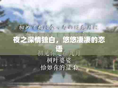 夜之深情独白，悠悠凄凄的恋语
