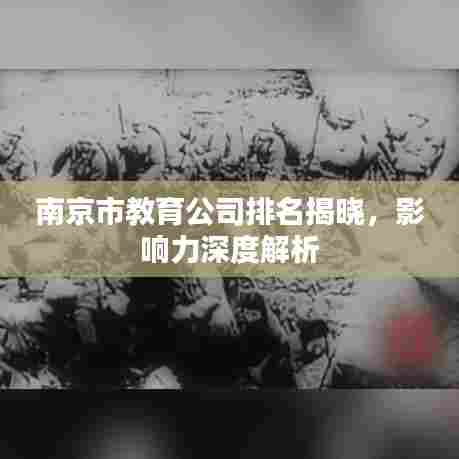 南京市教育公司排名揭晓,影响力深度解析