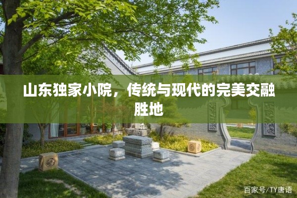 山东独家小院,传统与现代的完美交融胜地