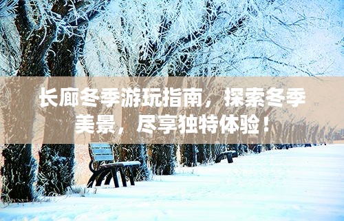长廊冬季游玩指南，探索冬季美景，尽享独特体验！
