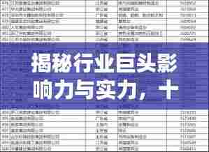 揭秘行业巨头影响力与实力，十九家公司权威排名榜单揭晓