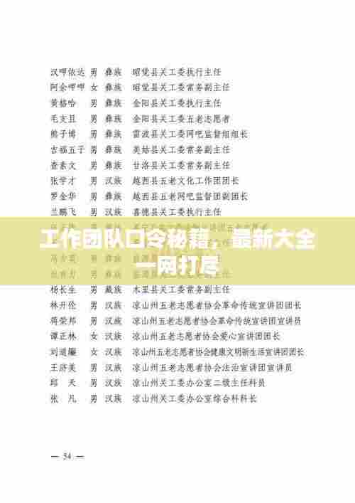 工作团队口令秘籍,最新大全一网打尽