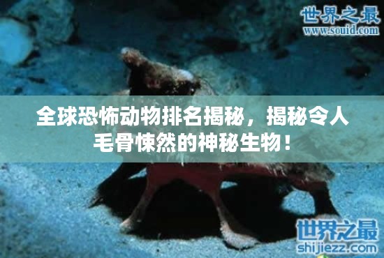 全球恐怖动物排名揭秘，揭秘令人毛骨悚然的神秘生物！