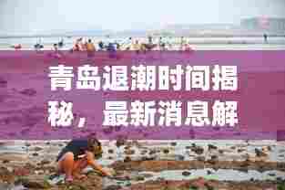 青岛退潮时间揭秘,最新消息解读,今天十点是否退潮?