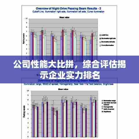 公司性能大比拼,综合评估揭示企业实力排名