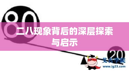 二八现象背后的深层探索与启示