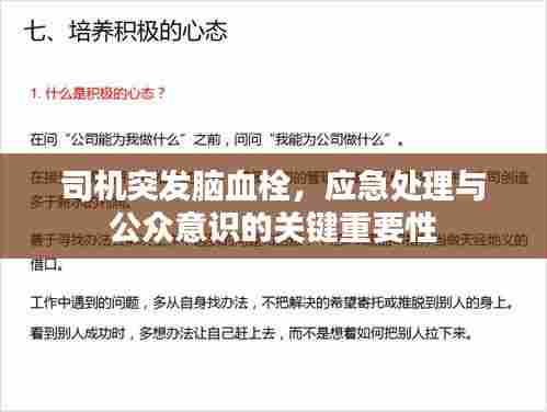 司机突发脑血栓,应急处理与公众意识的关键重要性