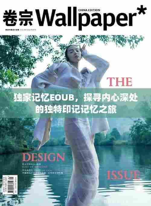 独家记忆EOUB,探寻内心深处的独特印记记忆之旅