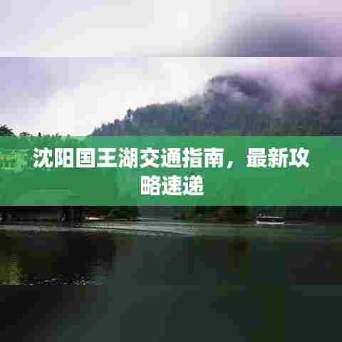 沈阳国王湖交通指南,最新攻略速递