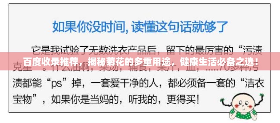 百度收录推荐,揭秘菊花的多重用途,健康生活必备之选!