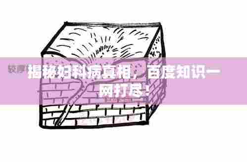 揭秘妇科病真相,百度知识一网打尽!
