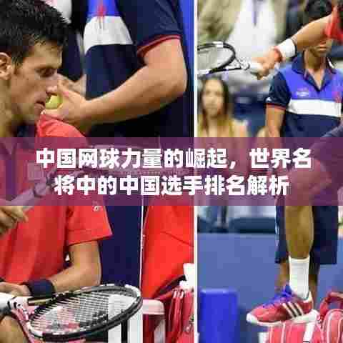 中国网球力量的崛起,世界名将中的中国选手排名解析
