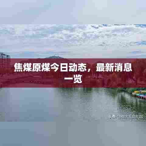 焦煤原煤今日动态,最新消息一览