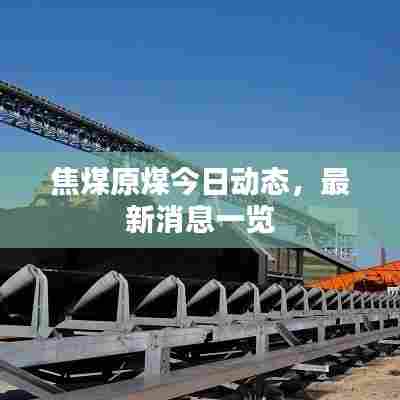 焦煤原煤今日动态,最新消息一览