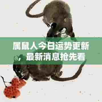 属鼠人今日运势更新，最新消息抢先看
