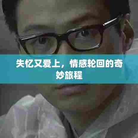 失忆又爱上,情感轮回的奇妙旅程
