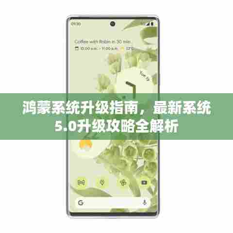 鸿蒙系统升级指南,最新系统5.0升级攻略全解析