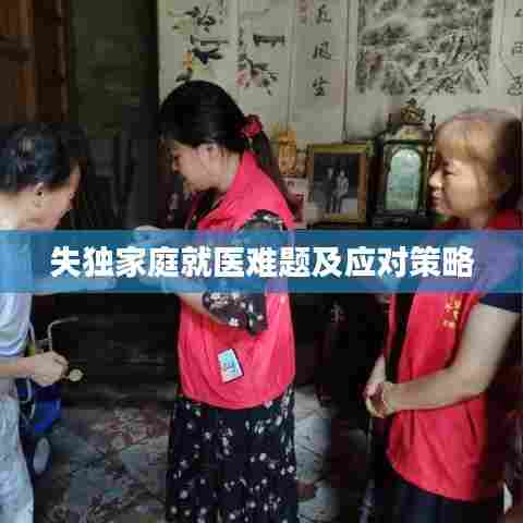 失独家庭就医难题及应对策略