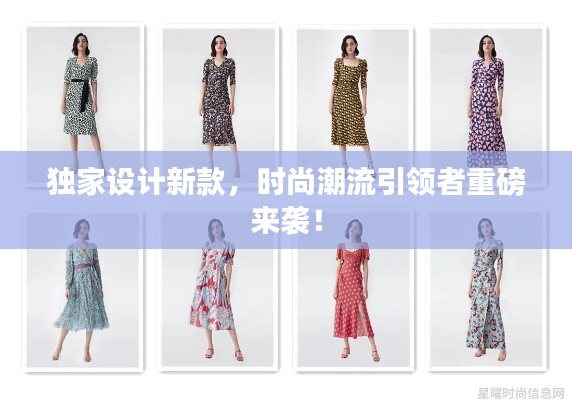 独家设计新款，时尚潮流引领者重磅来袭！