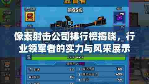 像素射击公司排行榜揭晓，行业领军者的实力与风采展示