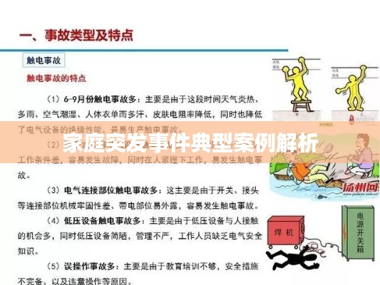 家庭突发事件典型案例解析