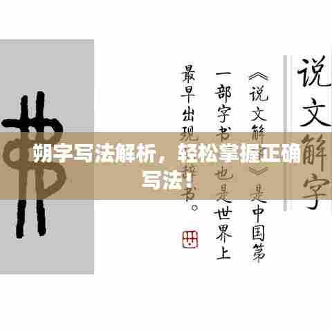 朔字写法解析,轻松掌握正确写法!